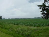 Property on Forest Grove Drive