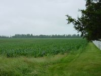 Property on Forest Grove Drive