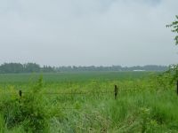 Property on Forest Grove Drive