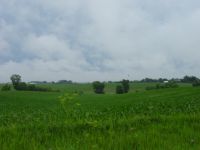 Property on Forest Grove Drive