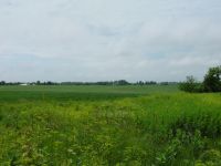 Property on Forest Grove Drive