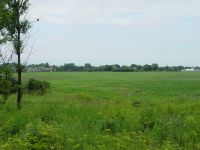 Property on Forest Grove Drive