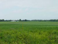 Property on Forest Grove Drive