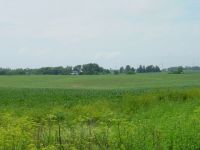 Property onForest Grove Drive