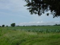 Property on Forest Grove Drive